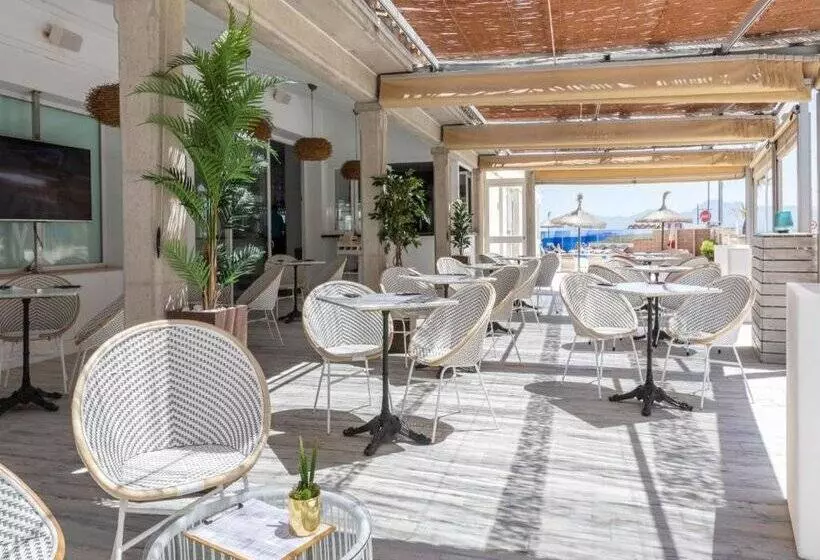 Fotos del hotel Ferrer Concord:  7