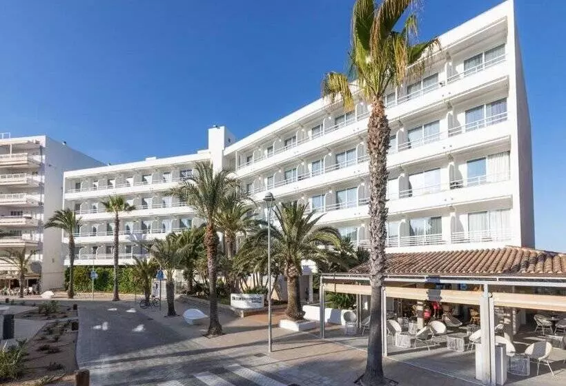 Fotos del hotel Ferrer Concord:  15