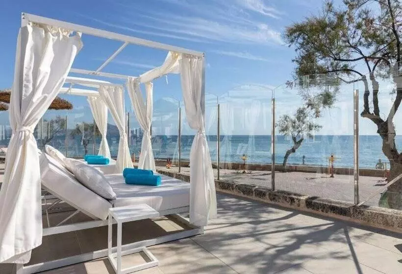 Fotos del hotel Ferrer Concord:  8