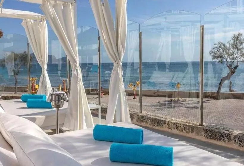 Fotos del hotel Ferrer Concord:  32