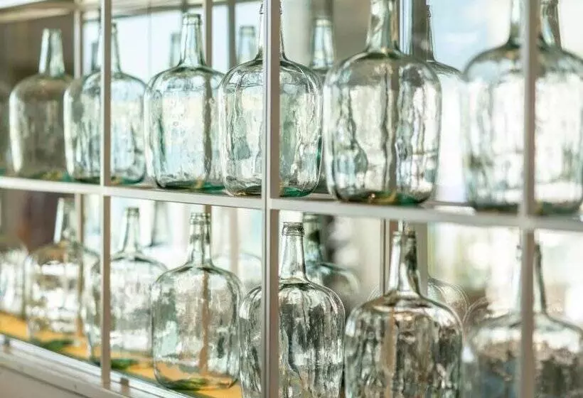 Fotos del hotel Ferrer Concord:  36