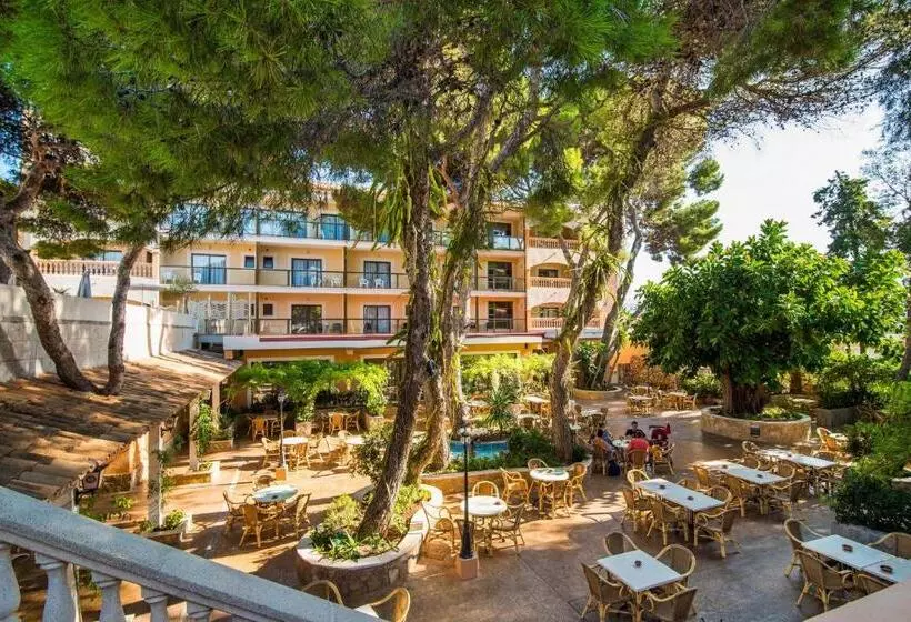 Fotos del hotel Baviera:  8