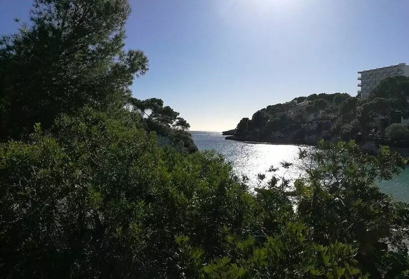 Fotos del hotel Cala Ferrera:  6