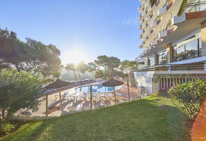 Fotos del hotel Cala Ferrera:  12