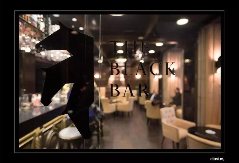 Fotos del hotel Gran Hotel España:  19