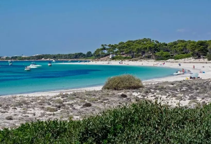 Fotos del hotel Isla de Cabrera:  18