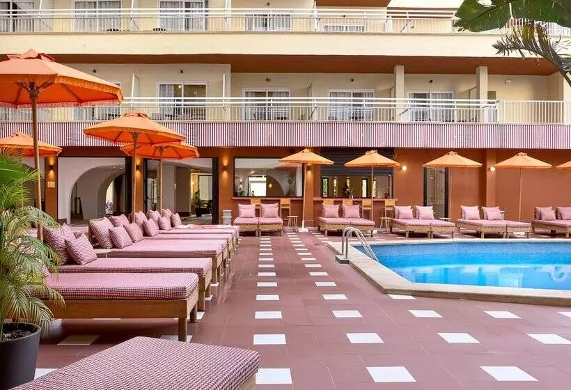 Fotos del hotel Piñero Bahia de Palma:  30