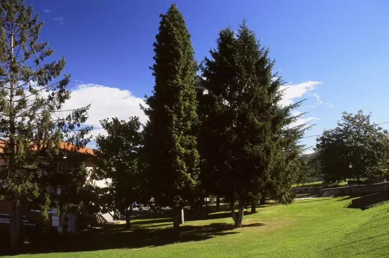 Fotos del hotel Villa De Nava:  12