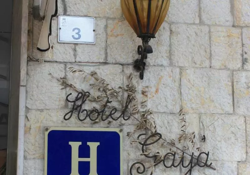 Fotos del hotel Gaya:  2