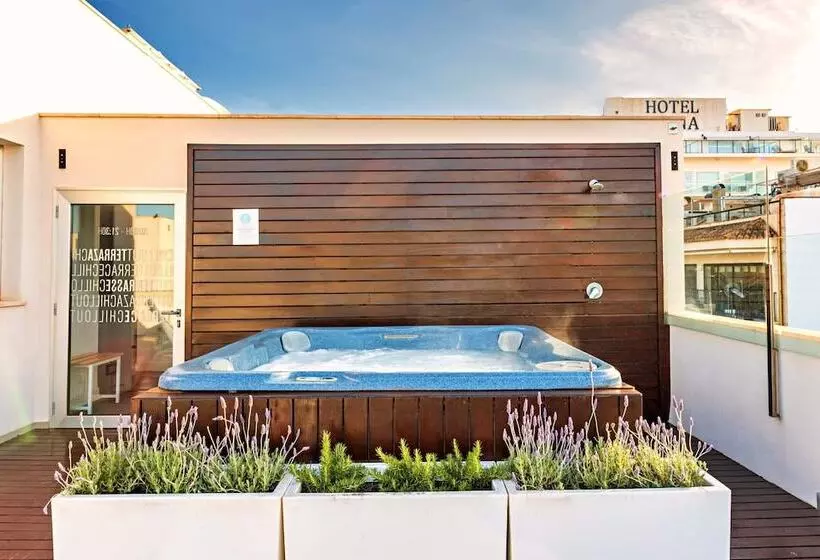 Fotos del hotel Mar Calma:  15