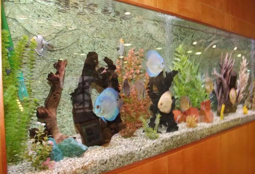 Fotos del hotel Montemar Maritim:  21