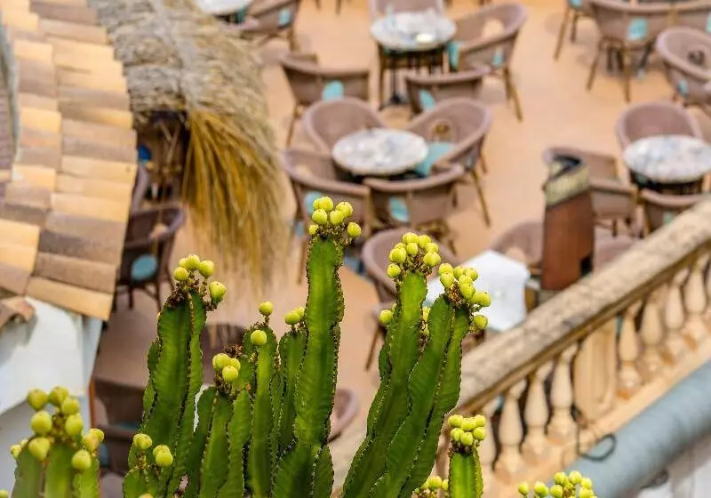 Fotos del hotel Playas De Paguera:  5