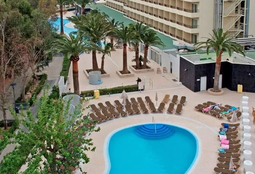 Fotos del hotel Sol Palmanova - All Inclusive:  47