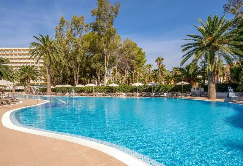 Fotos del hotel Sol Palmanova - All Inclusive:  3