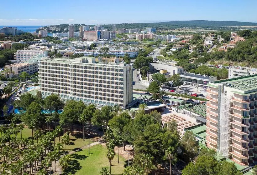 Fotos del hotel Sol Palmanova - All Inclusive:  81