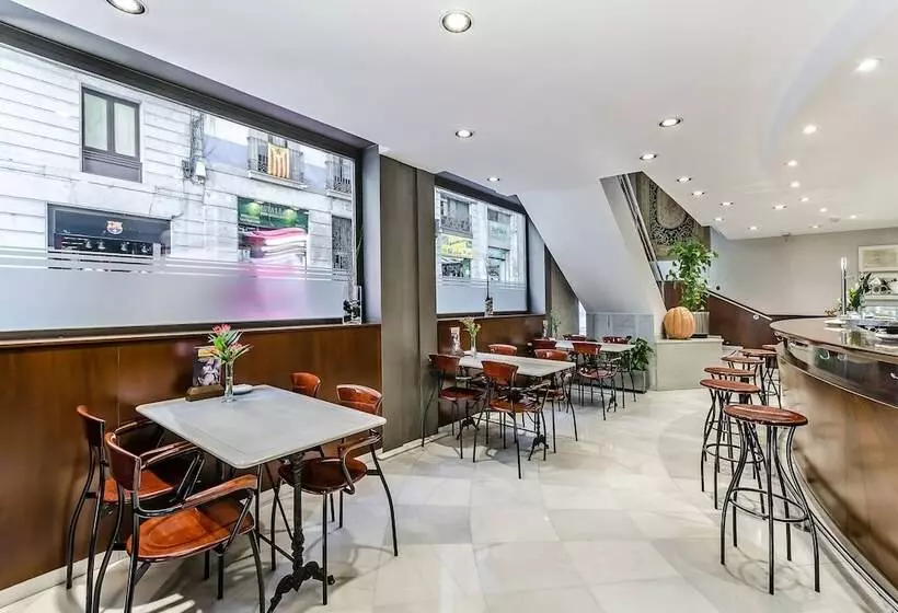 Fotos del hotel Suizo:  21