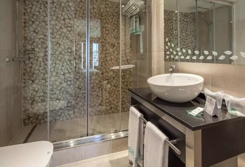 Fotos del hotel Suizo:  24