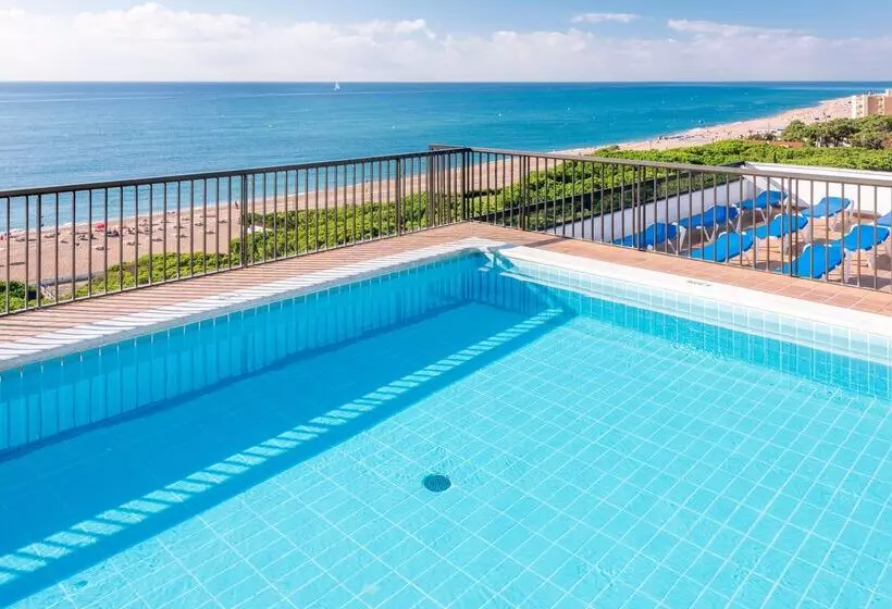 Fotos del hotel Tropic Park:  24