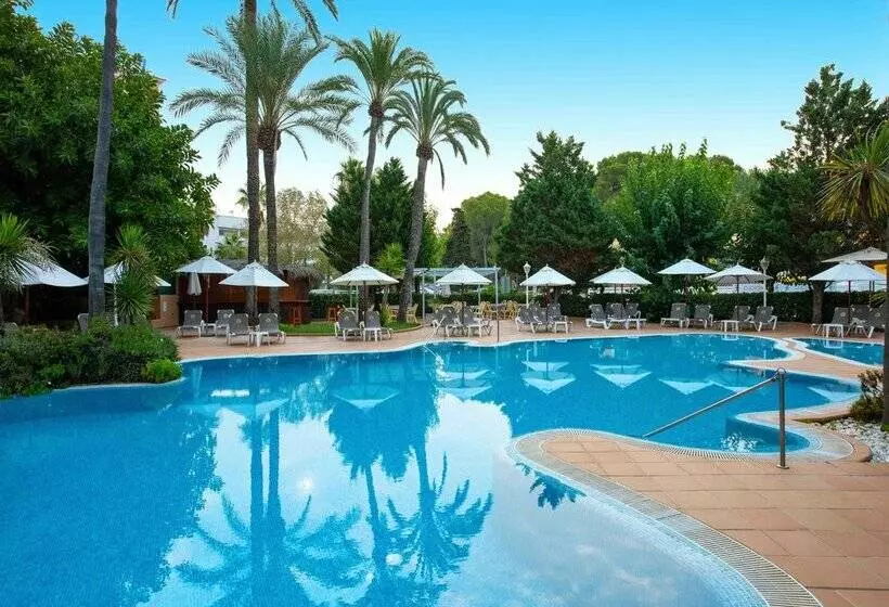 Fotos del hotel Valentin Reina Paguera  Adults Only:  89