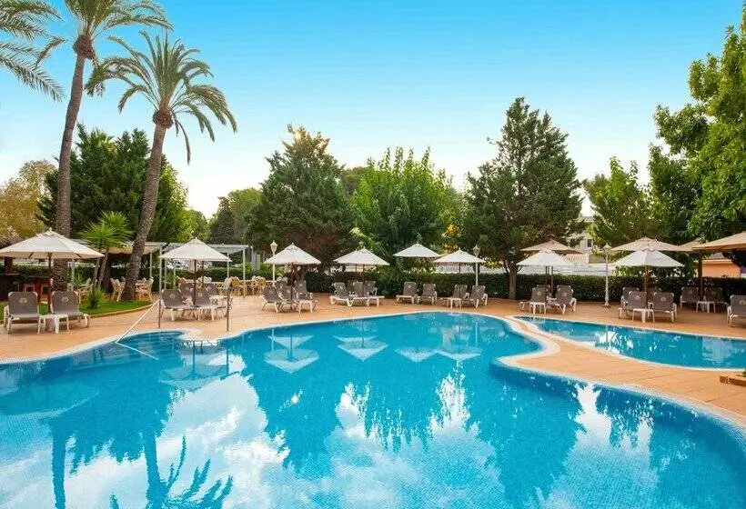 Fotos del hotel Valentin Reina Paguera  Adults Only:  88