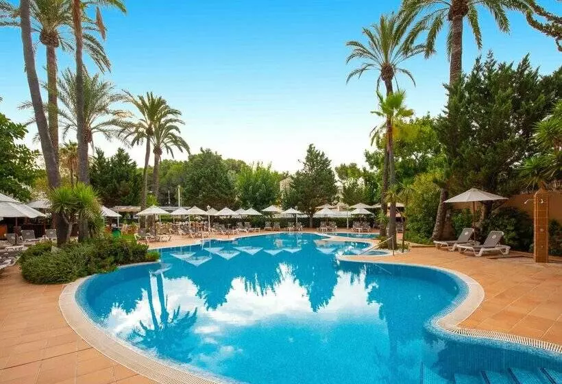 Fotos del hotel Valentin Reina Paguera  Adults Only:  74