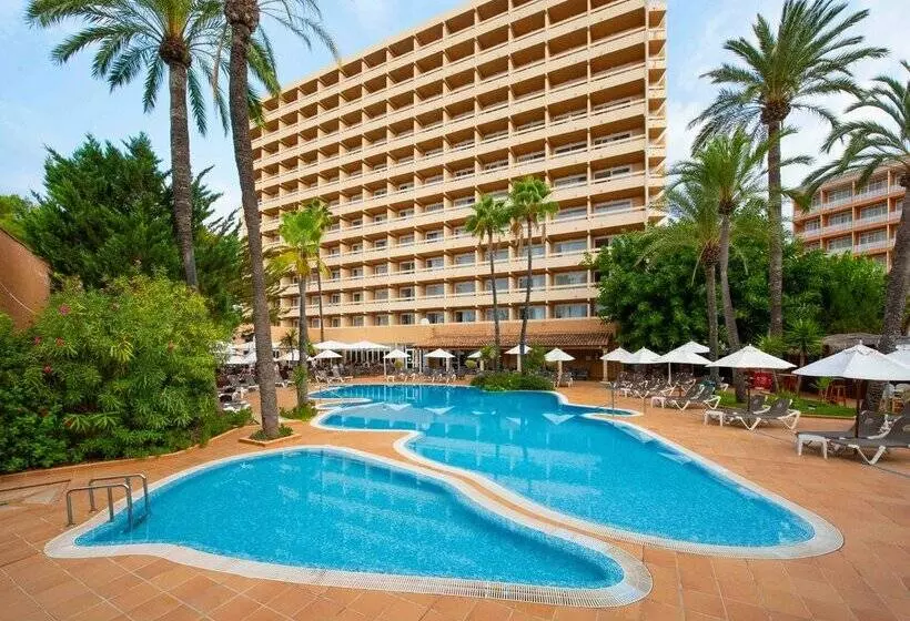 Fotos del hotel Valentin Reina Paguera  Adults Only:  90