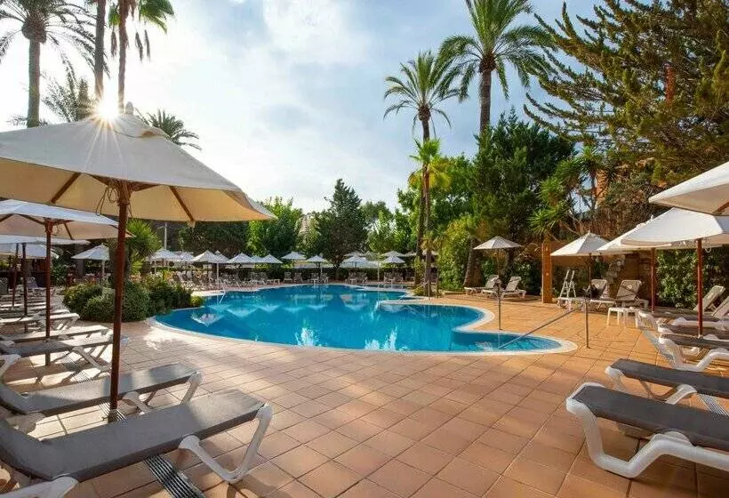 Fotos del hotel Valentin Reina Paguera  Adults Only:  87