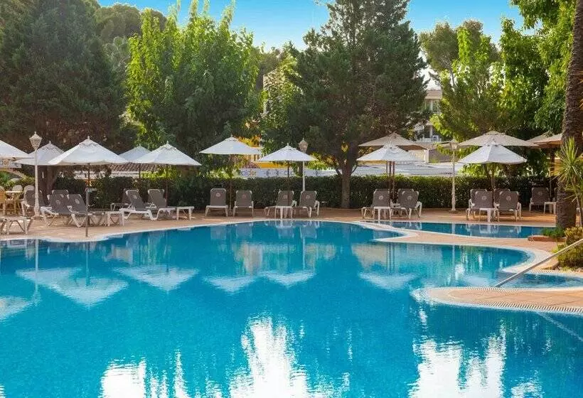 Fotos del hotel Valentin Reina Paguera  Adults Only:  31