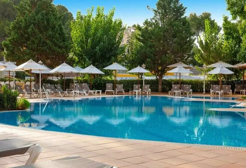 Fotos del hotel Valentin Reina Paguera  Adults Only:  35