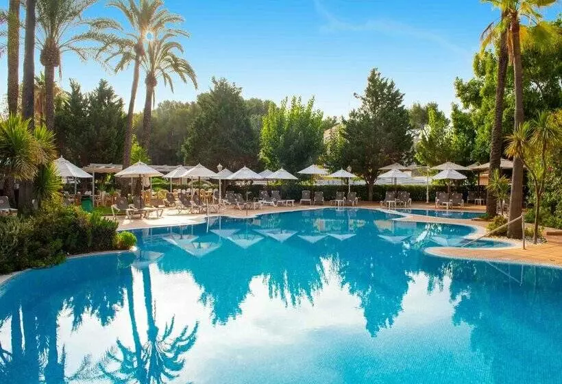 Fotos del hotel Valentin Reina Paguera  Adults Only:  81