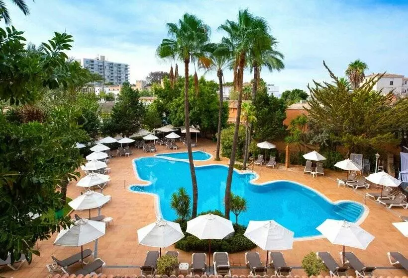 Fotos del hotel Valentin Reina Paguera  Adults Only:  80