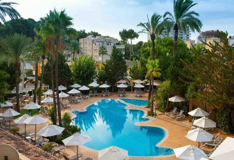 Fotos del hotel Valentin Reina Paguera  Adults Only:  65