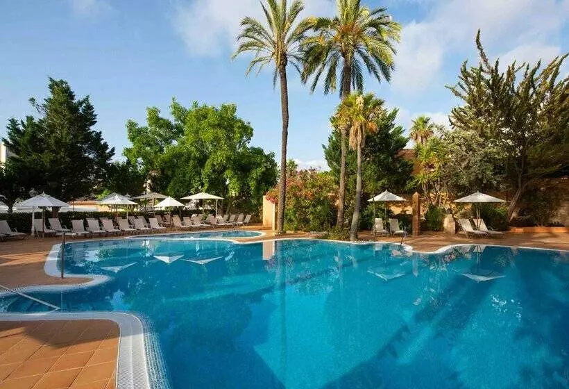 Fotos del hotel Valentin Reina Paguera  Adults Only:  84