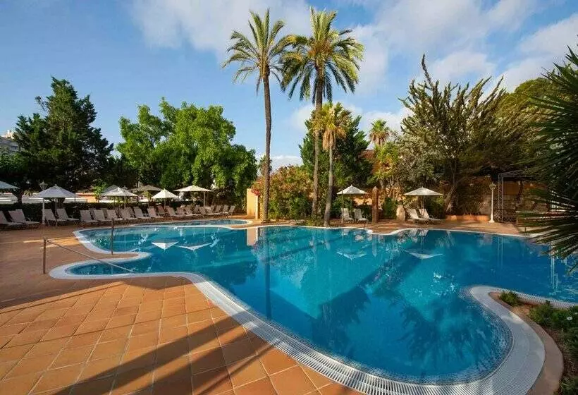 Fotos del hotel Valentin Reina Paguera  Adults Only:  46