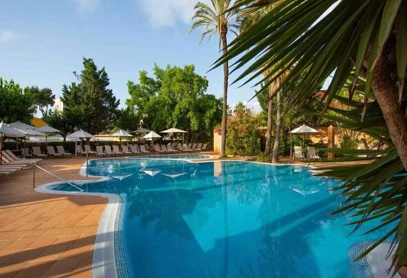 Fotos del hotel Valentin Reina Paguera  Adults Only:  38