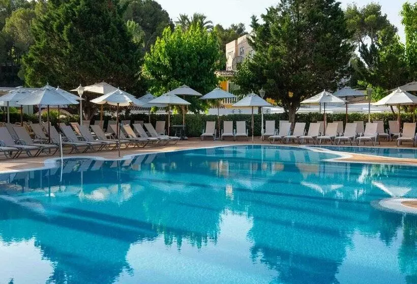 Fotos del hotel Valentin Reina Paguera  Adults Only:  45