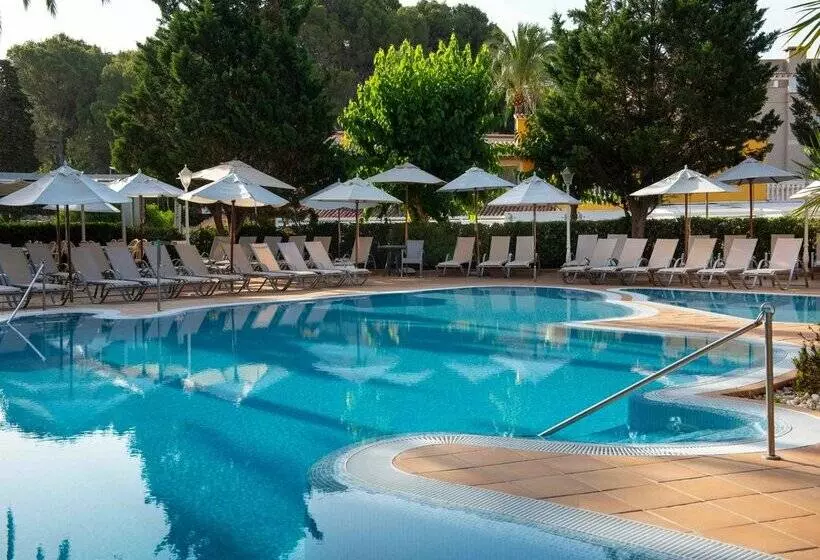 Fotos del hotel Valentin Reina Paguera  Adults Only:  32