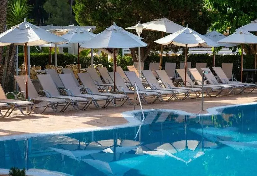 Fotos del hotel Valentin Reina Paguera  Adults Only:  83