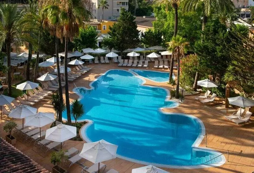 Fotos del hotel Valentin Reina Paguera  Adults Only:  40