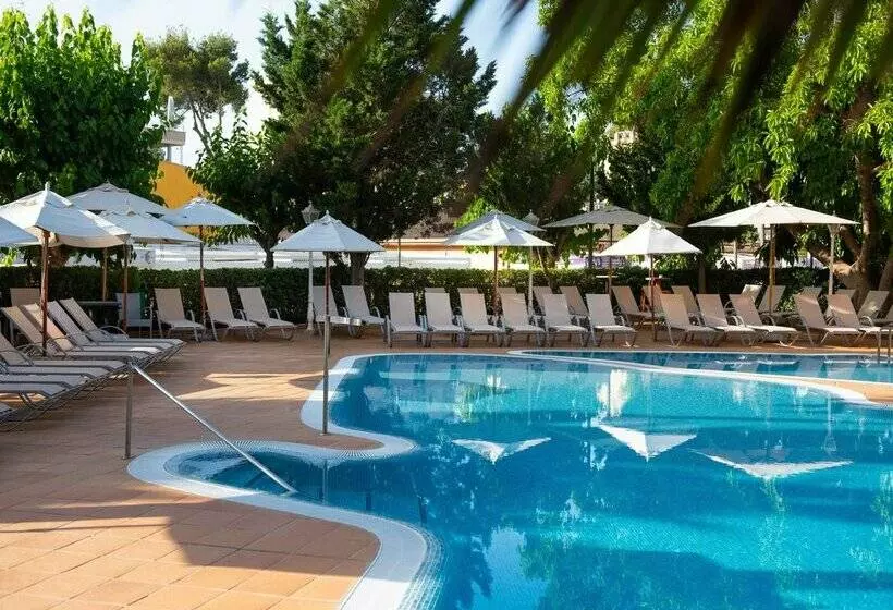 Fotos del hotel Valentin Reina Paguera  Adults Only:  66