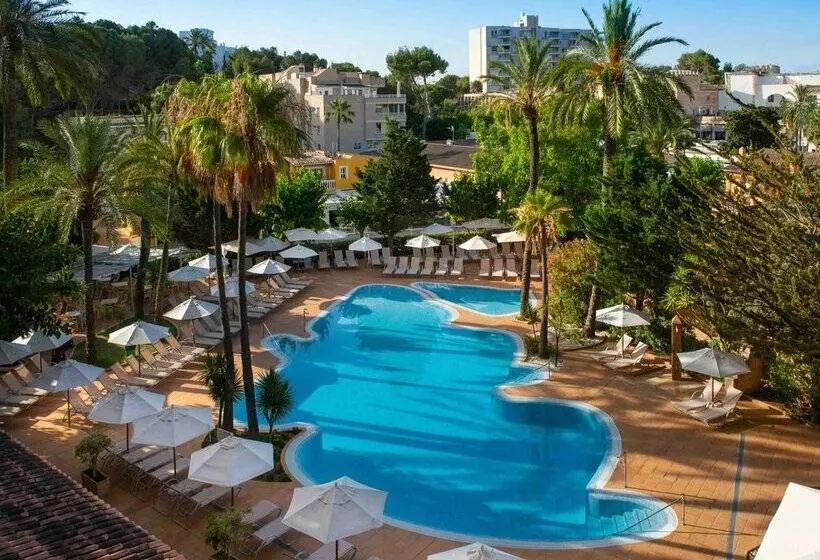 Fotos del hotel Valentin Reina Paguera  Adults Only:  70