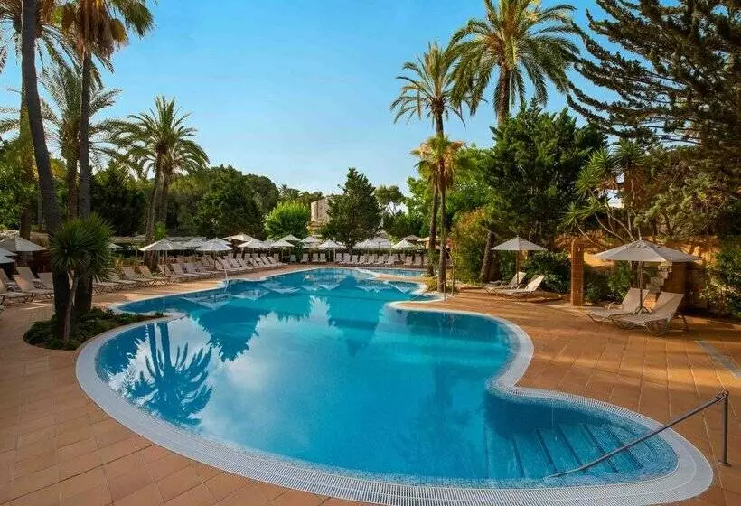 Fotos del hotel Valentin Reina Paguera  Adults Only:  69