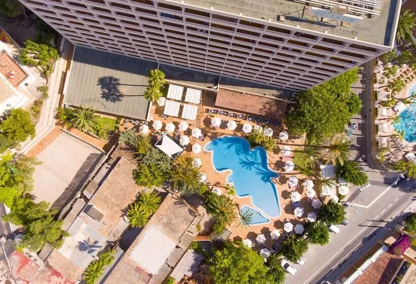 Fotos del hotel Valentin Reina Paguera  Adults Only:  23