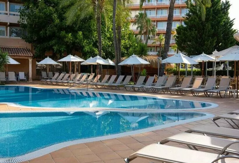 Fotos del hotel Valentin Reina Paguera  Adults Only:  86