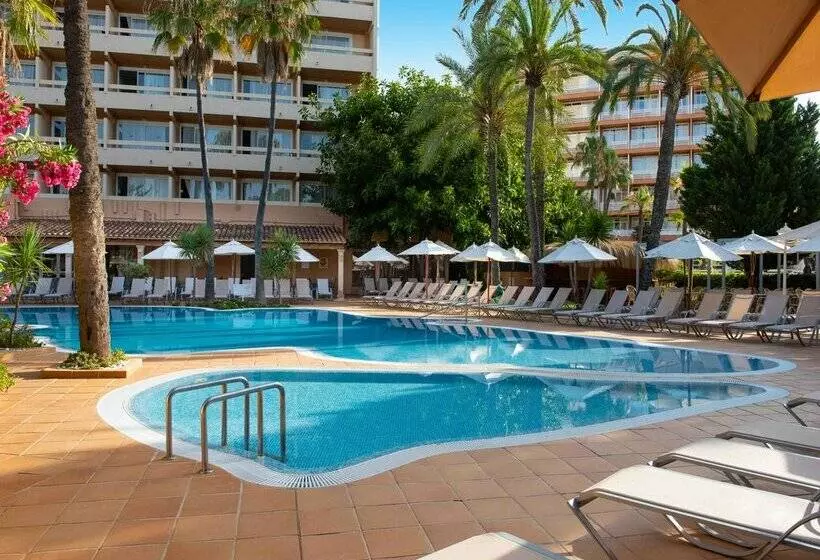 Fotos del hotel Valentin Reina Paguera  Adults Only:  78