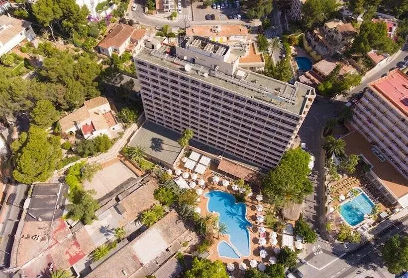 Fotos del hotel Valentin Reina Paguera  Adults Only:  25