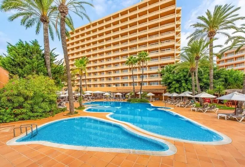 Fotos del hotel Valentin Reina Paguera  Adults Only:  17