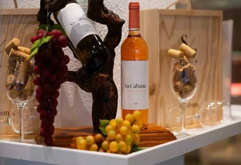 Fotos del hotel Valentin Reina Paguera  Adults Only:  64