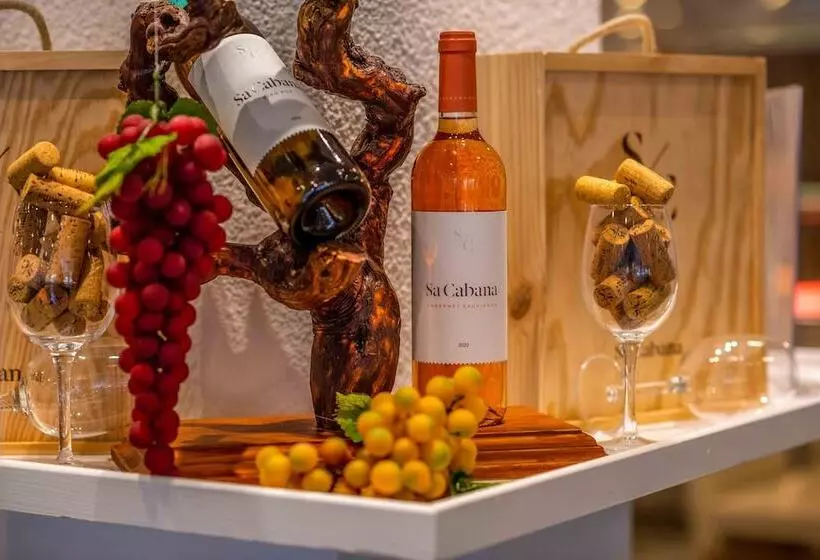 Fotos del hotel Valentin Reina Paguera  Adults Only:  22