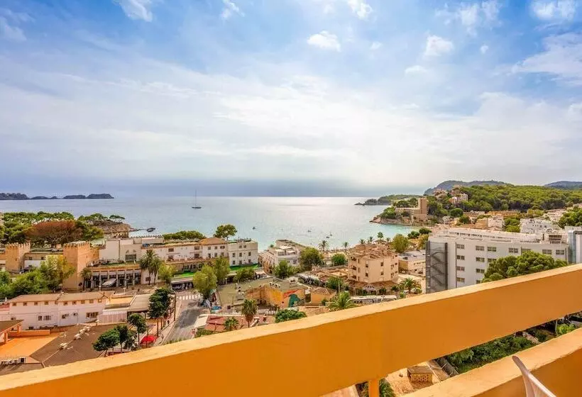 Fotos del hotel Valentin Reina Paguera  Adults Only:  14